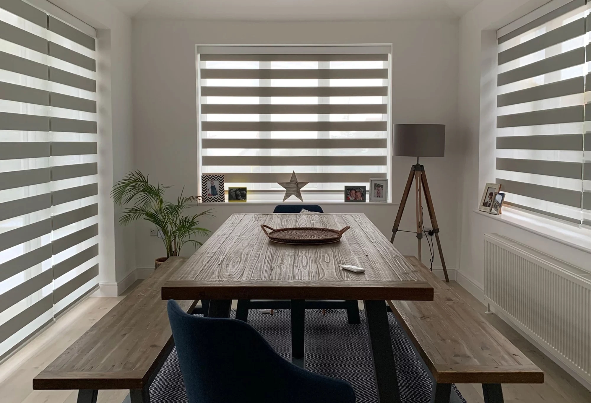 Media spotlight background